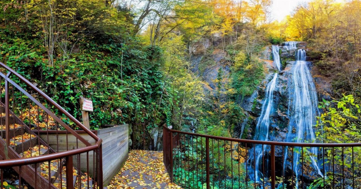 رحلة مدينة دوزجة